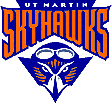 Tennessee-Martin Skyhawks 2003-2008 Primary Logo DIY iron on transfer (heat transfer)